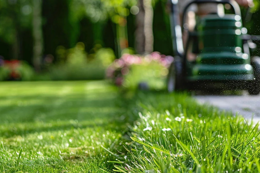 electric lawn mower with bag