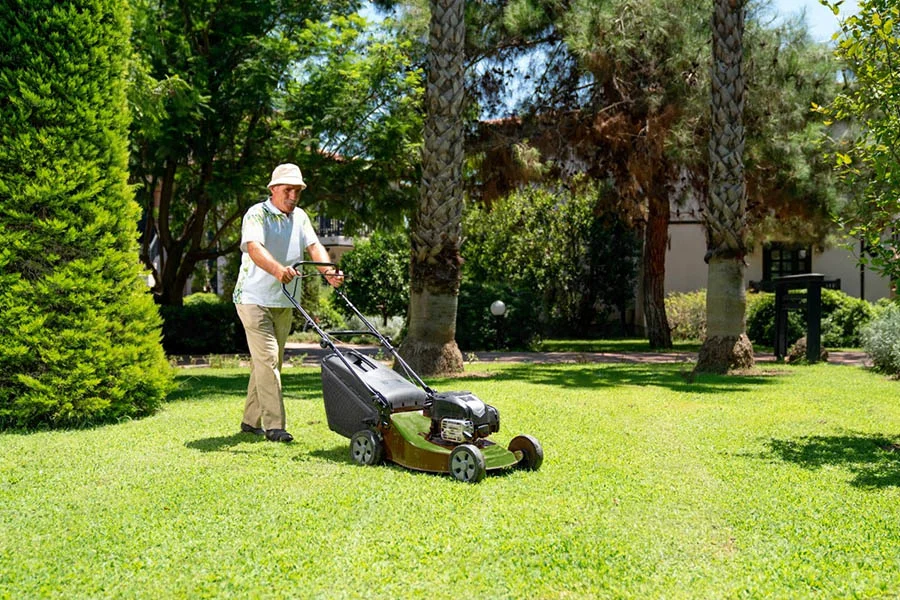 cordless self propelled lawn mower